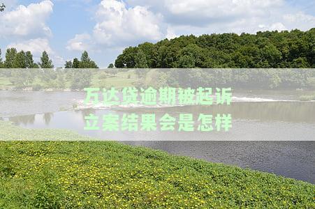 万达贷可以协商期还款吗，多久可以期还款？