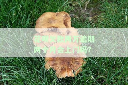 花呗欠款两万逾期两个月会上门吗知乎解答