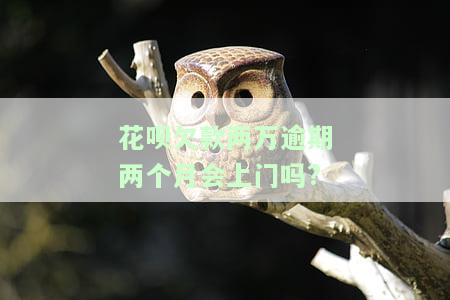 花呗欠了两千逾期两个月了会上门催收吗，逾期两个月会有什么后果?
