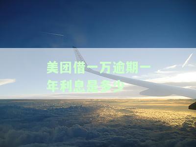 美团借一万逾期一年利息是多少啊，逾期三个月没还会怎么处理？