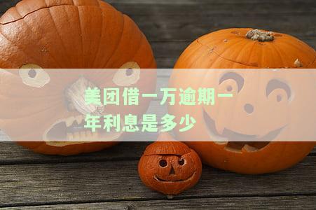 美团平台欠款一万多逾期一年了会怎样处理？