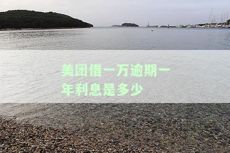 美团上欠1万元逾期3个月会被起诉吗？怎么办？