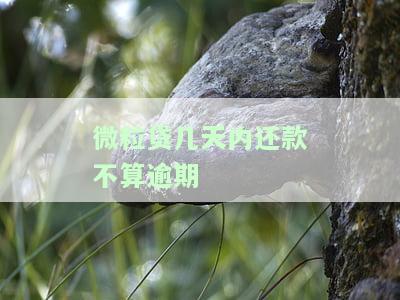 微粒贷几天之内不算逾期，逾期实在没钱还怎么办？