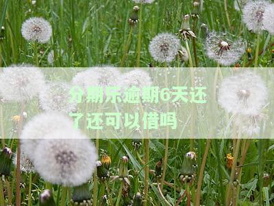 分期乐逾期六天还能不能借出来并在还清后再次使用？