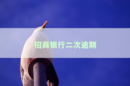 招商银行二次逾期
