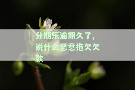 分期乐逾期久了,说什么恶意拖欠欠款