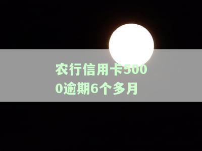 农行信用卡5000逾期6个多月怎么办，农行信用卡4000逾期一年，欠农业银行信用卡5000三年没还利息多少