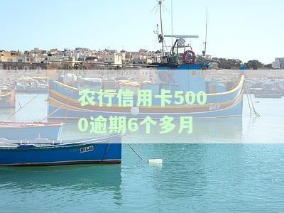 农行信用卡5000逾期6个多月