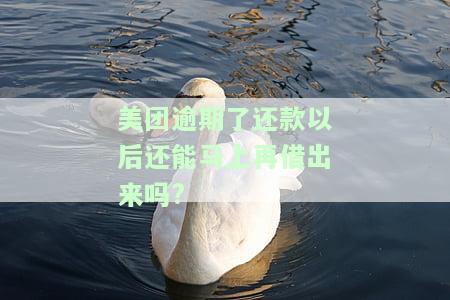 美团逾期了还款以后还能马上再借出来吗?