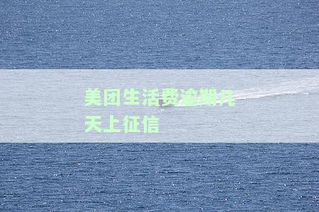 美团生活费逾期几天上征信，花呗逾期后果，信用卡降额和贷款影响如何处理？