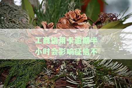 工商信用卡逾期半小时会影响征信