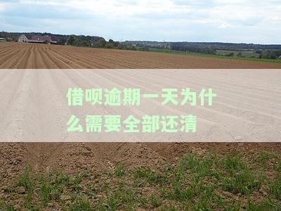 借呗逾期一天还款后为什么不能正常使用及解决方法