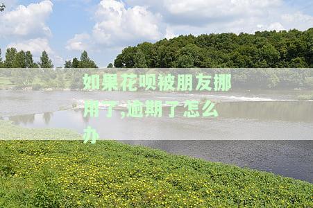 如果花呗被朋友挪用了,逾期了怎么办呢,花呗被他人用了怎么追回