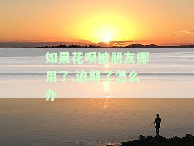 支付宝花呗被别人用逾期了报警有用么