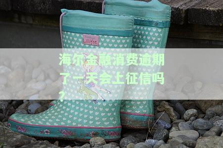 海尔消费金融逾期一天还款会上征信吗？
