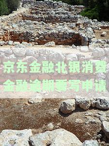 京东金融北银消费金融逾期要写申请