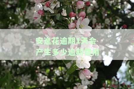 安逸花逾期半天会怎么样