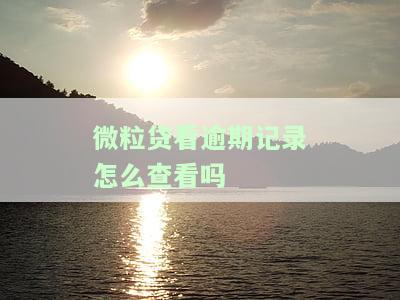 微粒贷有过逾期怎么判断还能不能借款