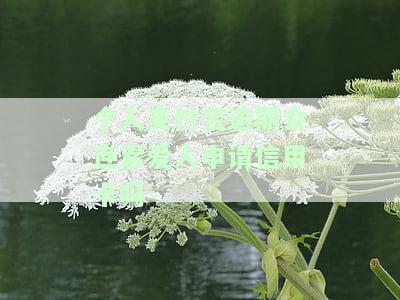个人支付宝逾期会连累爱人申请信用卡吗