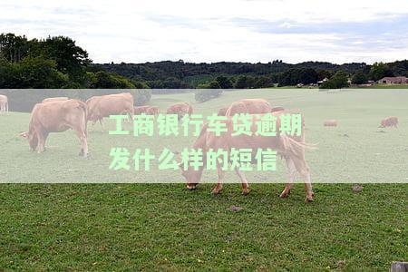 工商银行车贷逾期短信通知