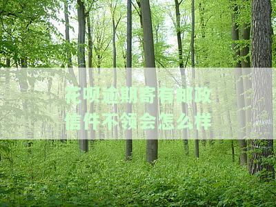 花呗逾期支付宝寄邮件查询及处理