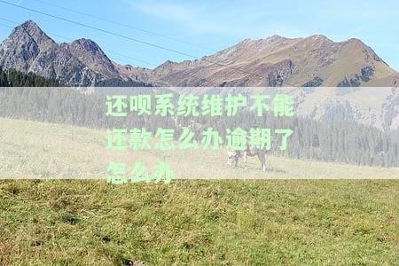 还呗系统维护不能还款怎么办逾期了怎么办