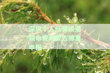 深圳个人所得税逾期申报需要去哪里申报呢