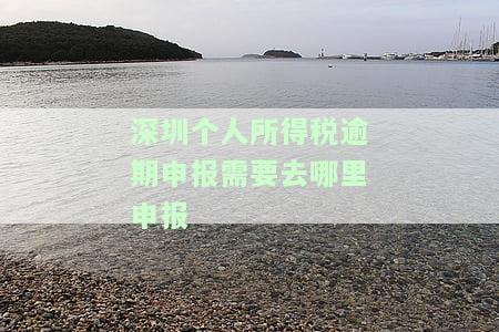深圳个税逾期申报处罚标准及网上申报