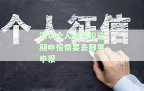 深圳个税逾期了可以网上申报吗