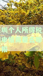 深圳个人所得税申报时间晚了怎么办，逾期申报去哪里申报？