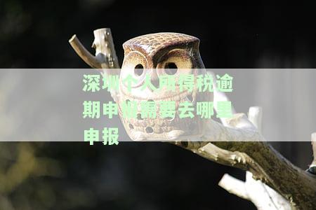 深圳个税申报截止时间