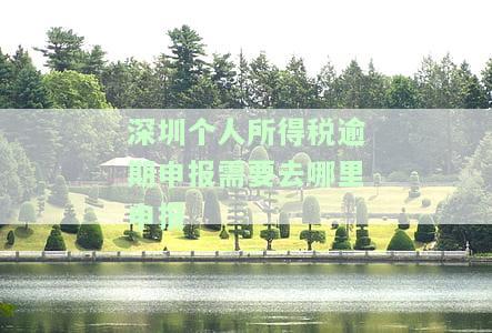 深圳个人所得税逾期申报需要去哪里申报