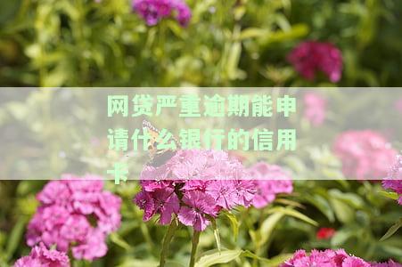 2020网贷严重逾期还能下的口子及其他可贷平台