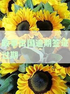 政审出国经历超过半年对申请有影响吗？