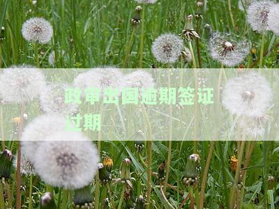 政审出国逾期签证过期