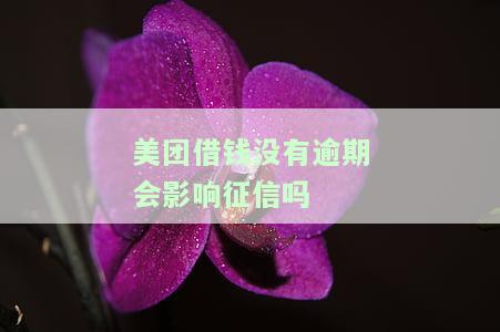 美团借钱没有逾期会影响征信吗知乎怎么办？