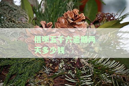 借呗五千六逾期两天多少钱啊怎么算和办法