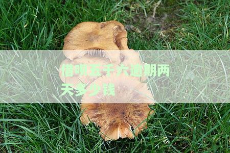 借呗五千六逾期两天多少钱