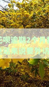 花呗逾期2个月打电话来说要外访怎么回事，今天接的电话叫我上法院