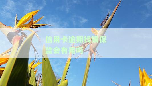 银保监会对信用卡逾期的规定及银监局介入信用卡协商还款