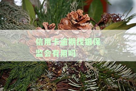 银保监信用卡催收条例及最新政策