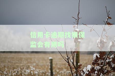 逾期打银监会处理信用卡逾期