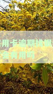 银监会关于信用卡逾期还款的规定及最新政策