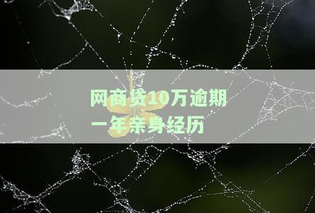 网商贷100万逾期会被起诉吗？