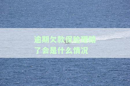 逾期欠款保险理赔了会是什么情况