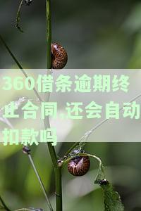 逾期3天止合同？安全吗？能协商吗？