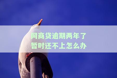 网商贷逾期两年被起诉的可能性有多大及后果严重性