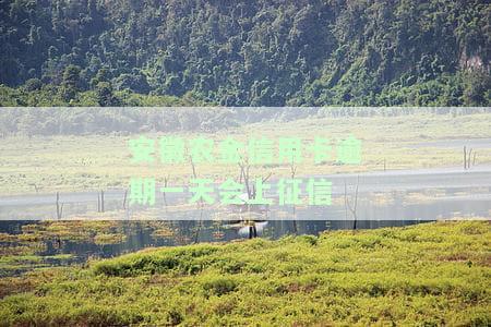 安徽农金信用卡逾期一天会上征信吗及相应应对措