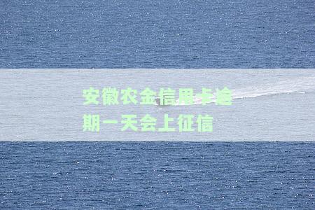 农信便民卡逾期一天冻结及征信影响