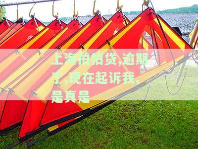 上海拍拍贷逾期一万多，是否真实起诉？